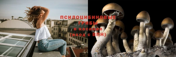 эйфоретик Переславль-Залесский