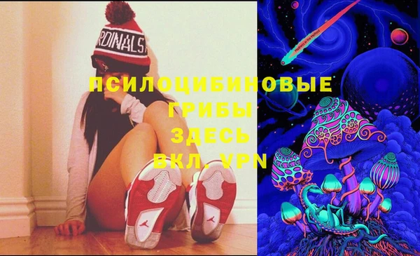 jwh Пересвет