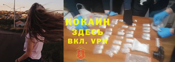 jwh Пересвет