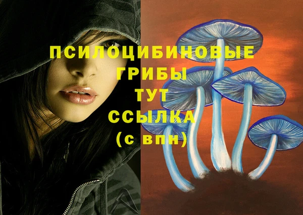 PSILOCYBIN Пестово