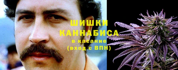 PSILOCYBIN Пестово
