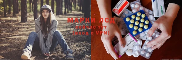 jwh Пересвет