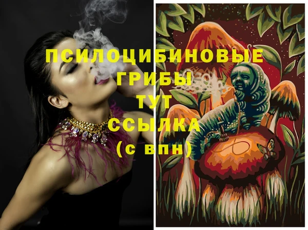 эйфоретик Переславль-Залесский