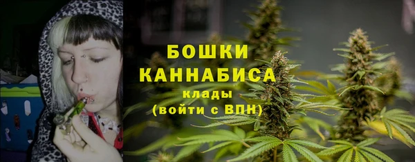 эйфоретик Переславль-Залесский